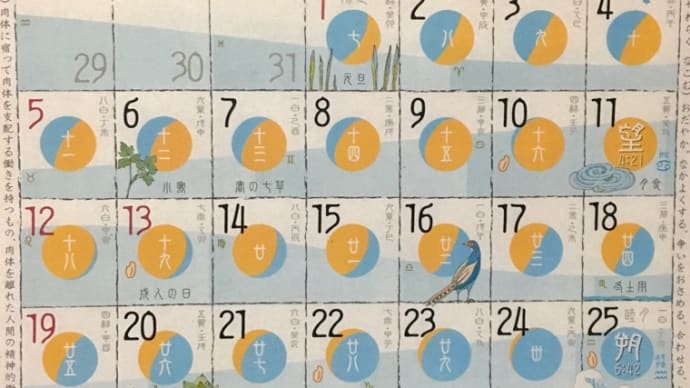 ◉1月の出没予定です◉