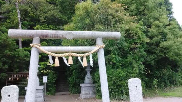 【皇祖皇太神宮】 京都 大悲山 三本杉 