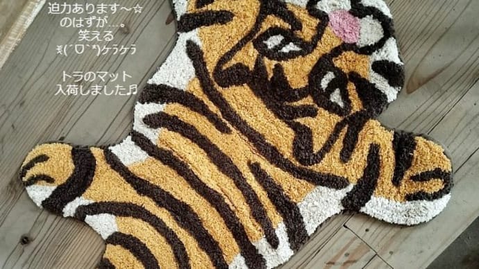 雑貨市場は平日の月・火・金曜日OPEN☆笑える敷物マット入荷しましたꉂ(ˊᗜˋ*)ヶラヶラ