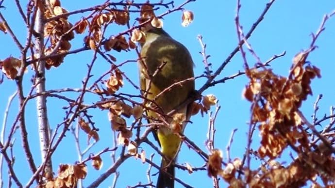 鈴の宮公園他