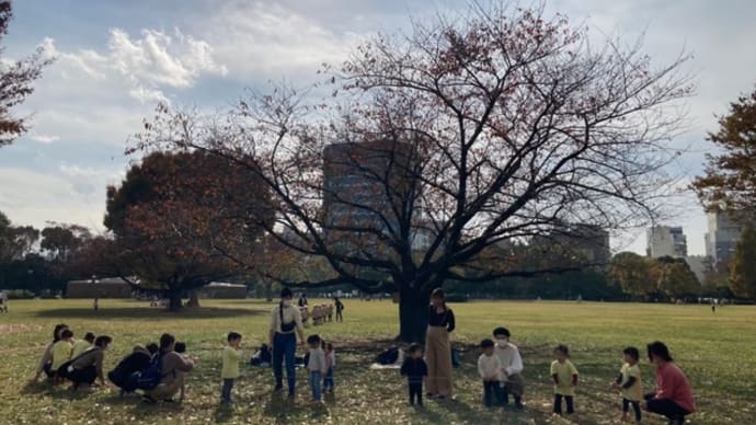 11月の活動記録