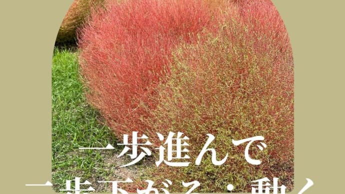 【心理カウンセラー資格・悩みの謎解き:一歩進んで二歩下がる「動く」】