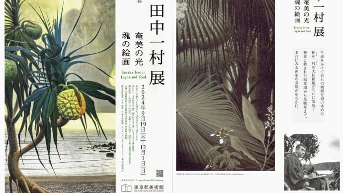 「田中一村展」から 1
