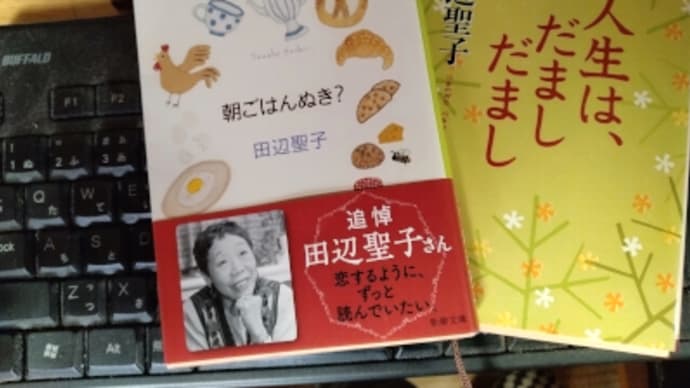 人生はだましだまし、朝ごはんぬき?