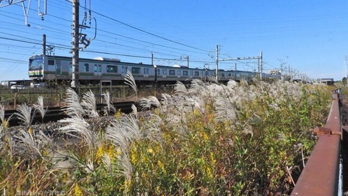白穂に電車