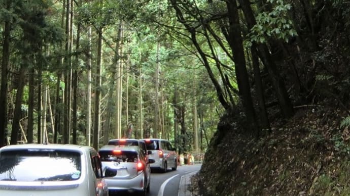 国道9号線・京都府亀岡市下矢田町を曲がり