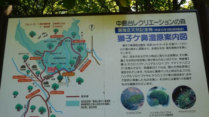 獅子ヶ鼻湿原へ行く