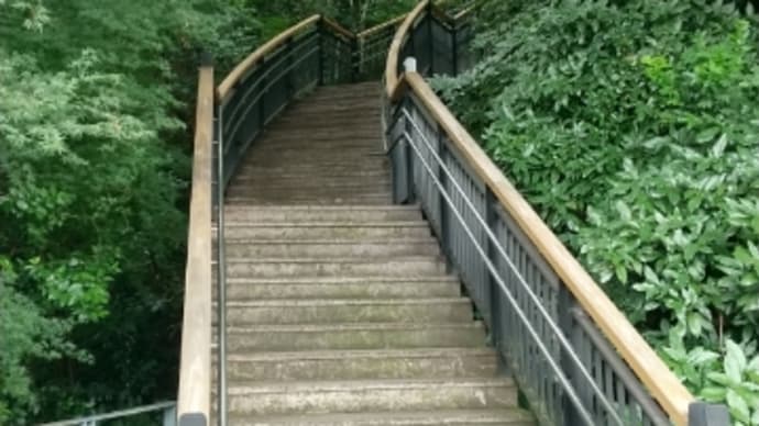 夏のお散歩
