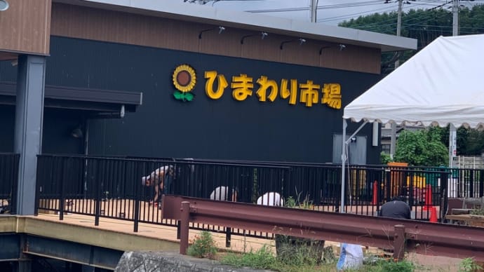 TVで見て気になった所