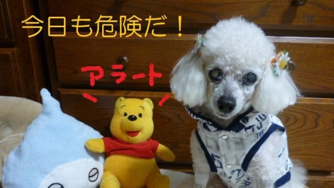 今日で6月が終わり…台風3号が…(-_-)ウーム そして気になる台風のたまご