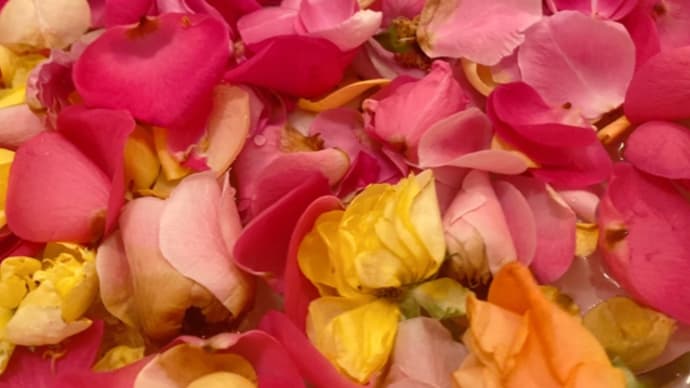 薔薇風呂