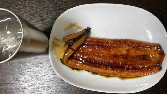 本日、土用丑の日