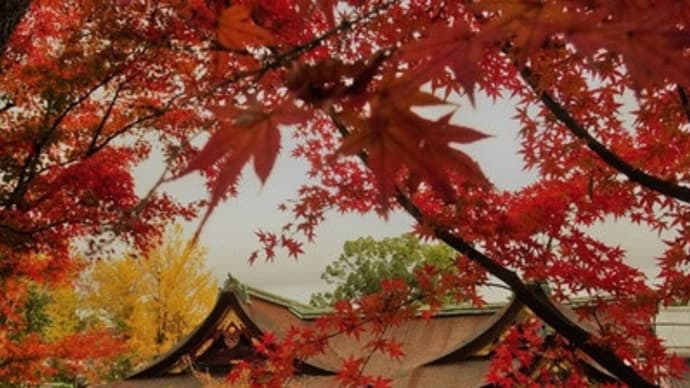 天神様縁日の紅葉と宝刀と：北野天満宮(後編)　＠　京都妖怪探訪（６６６）