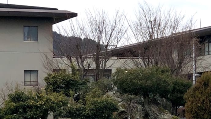 北嵯峨かいわい