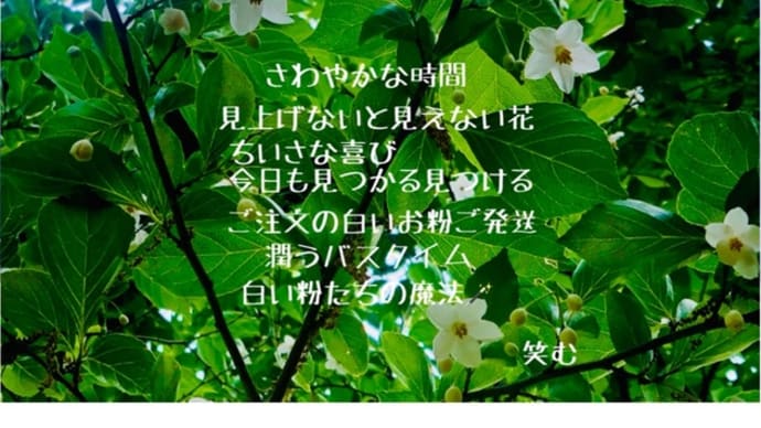 goo→ameblo引越し先→emustyleemu
