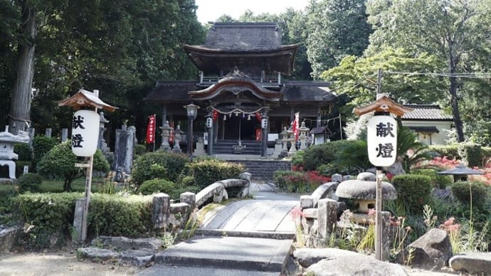 鰐鳴八幡宮にヒガンバナを見に…(その2)雑草の初見も2種みつけました!