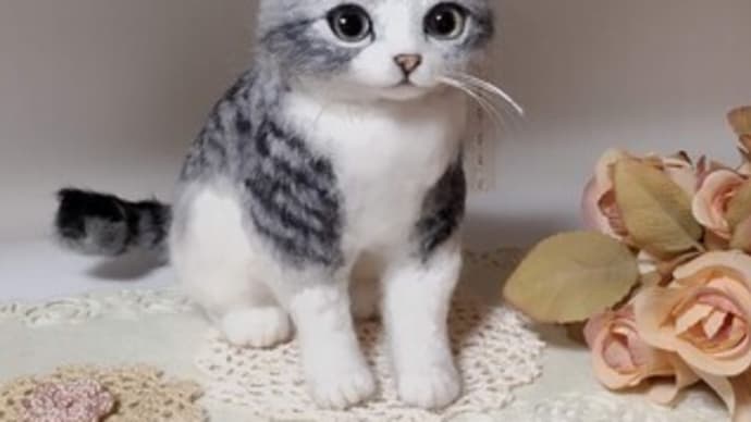 羊毛っこ 猫さん♪生まれました(*^^*)
