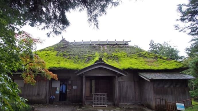 (その2)新潟観光(旧中野邸・北方文化博物館・イヨボヤ会館・重文 若林家住宅)~山形観光(慈恩寺・山寺・平泉寺)/瀬波温泉 吉田や、天童温泉 あづま荘、那須温泉 星のあかり