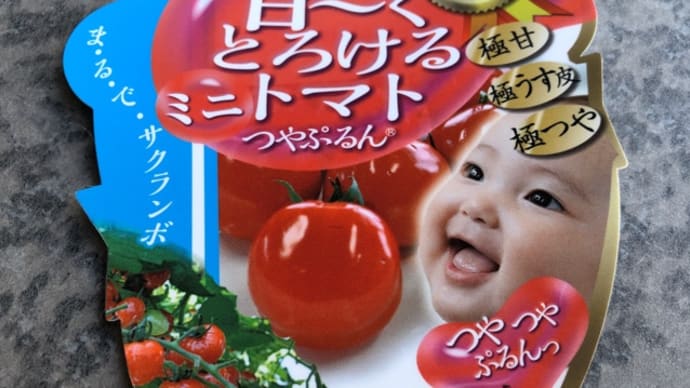 ミニトマトの苗植えつけました。種類がとても多いので迷います。