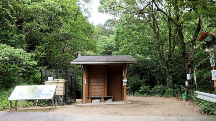 四王寺山(大城山)