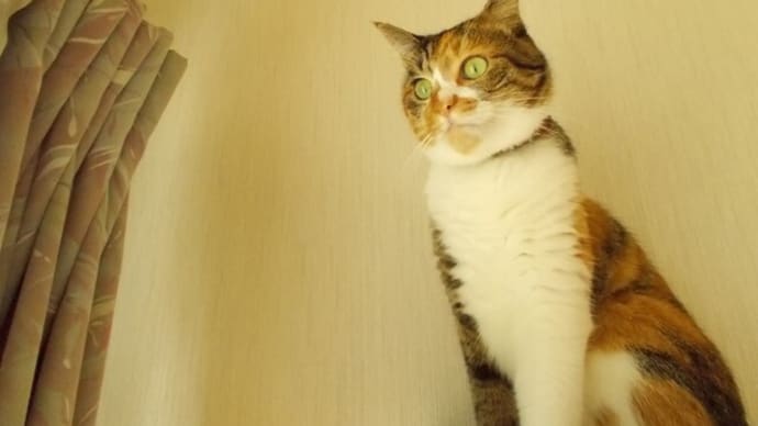 グルッと一周…。