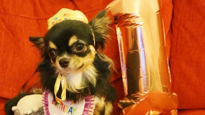 一歳の誕生日会♪