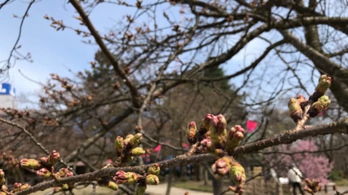 3月末は極端な寒暖の日