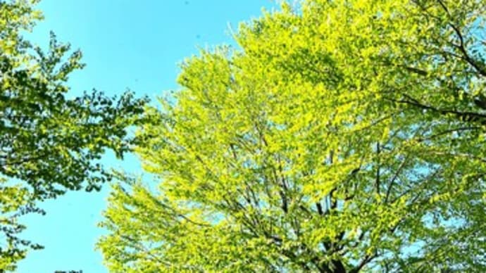 『病院ラジオ』の朝
