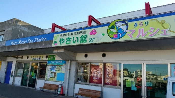マグロ買って来てぇ〜!というリクエストにこたえて!
