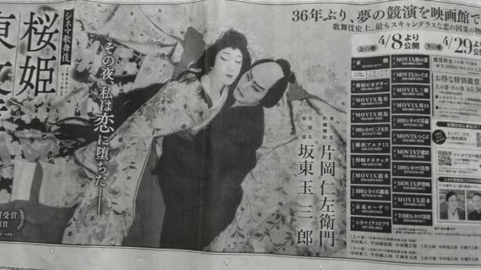 シネマ歌舞伎 桜姫東文章