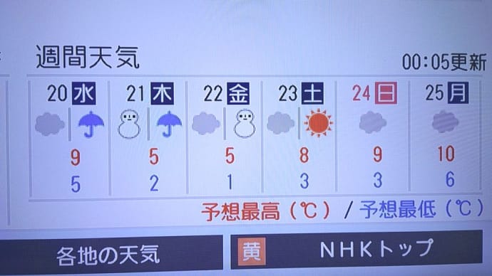 冬らしくなりすぎ~