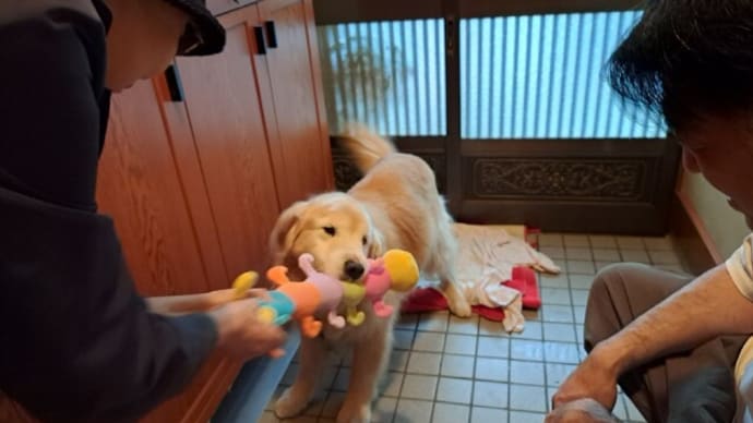 クラちゃんママ・Tお兄ちゃんありがとう 24.4/30