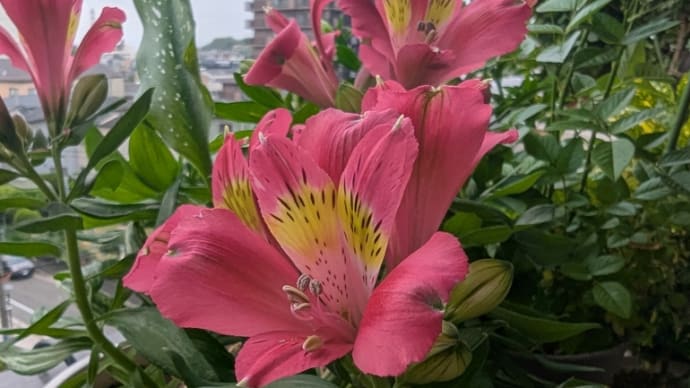 肌トラブル