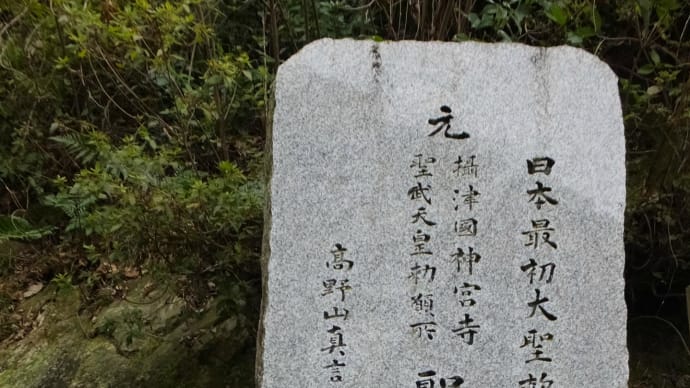 みのおの森の可笑木・木面相（2）