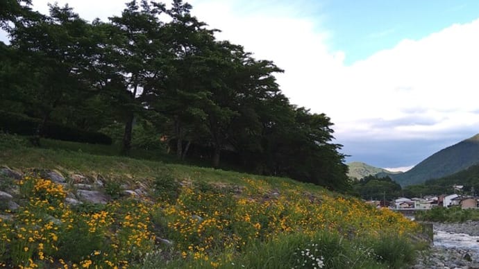 奈良井川 ヤマメQUEST