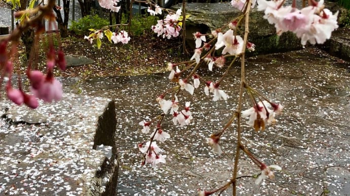 今朝は。。。💕