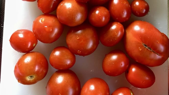 トマトと大葉のマリネ