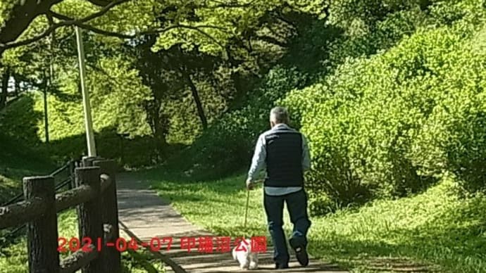 印旛沼公園へ