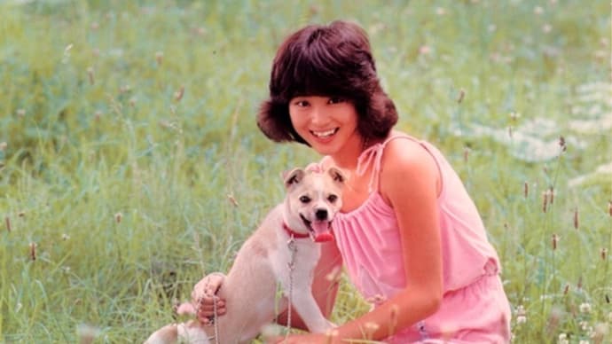 のりたまと北海道♡松田聖子 明日へと駆け出してゆこう MVより