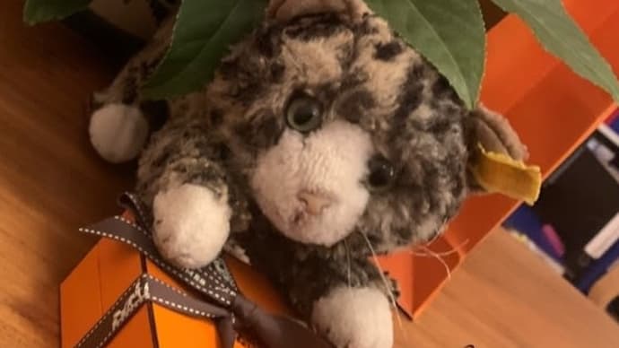 シュタイフの猫さん