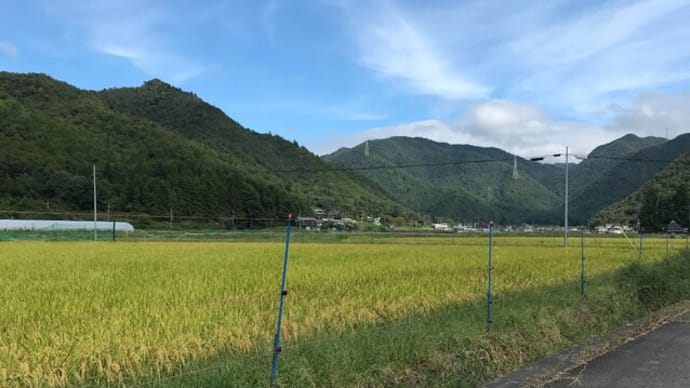 三田市議会議員選挙も最終日 ~投票所に足をお運びください~