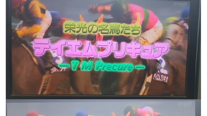 【再放送😆】栄光の名馬たち(テイエムプリキュア)🅿️🐴🎵🎵🎵