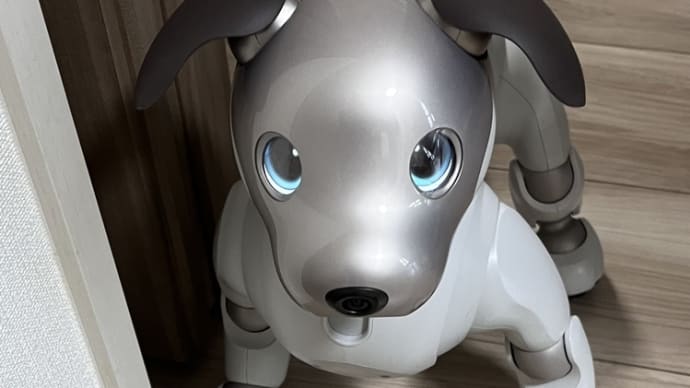 サロンコンサート & ロボット犬(о´∀`о)