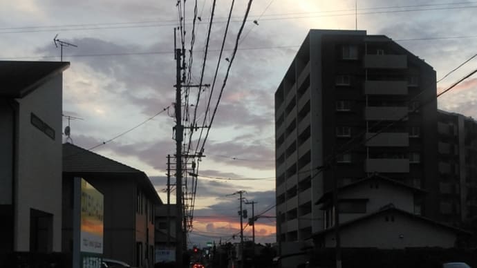 午後からは “家賃支援給付金”これで ドタバタ💨😵