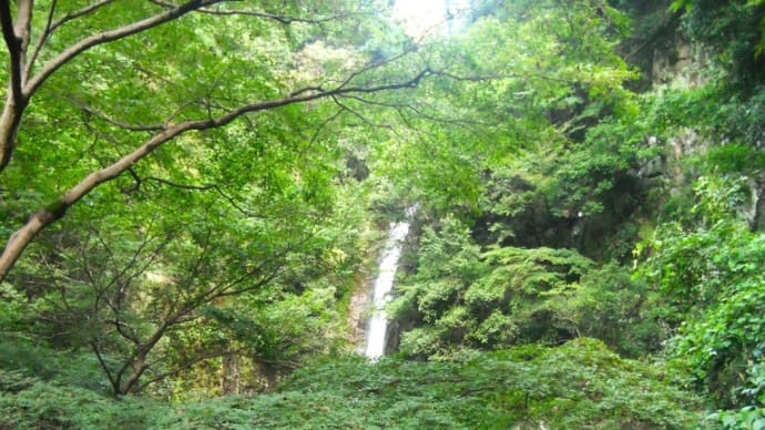 阪急三宮~布引の滝~市ケ原~蛇ケ谷~分水嶺越林道~トゥエンティクロス ・・・ 9月9日 探鳥ウォーク ②