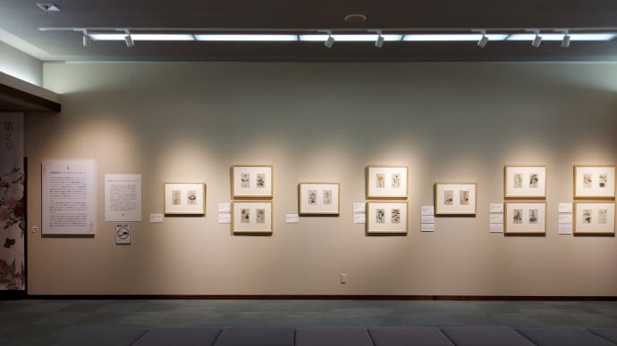 『英国王室に咲くボタニカルアートとウェッジウッド』展を観にいく・・・(本宮市)