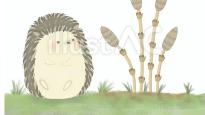 つくし