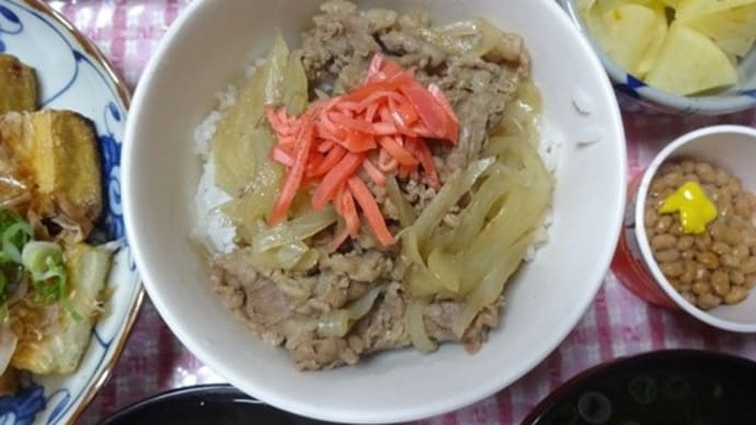 牛丼と好きなおかず