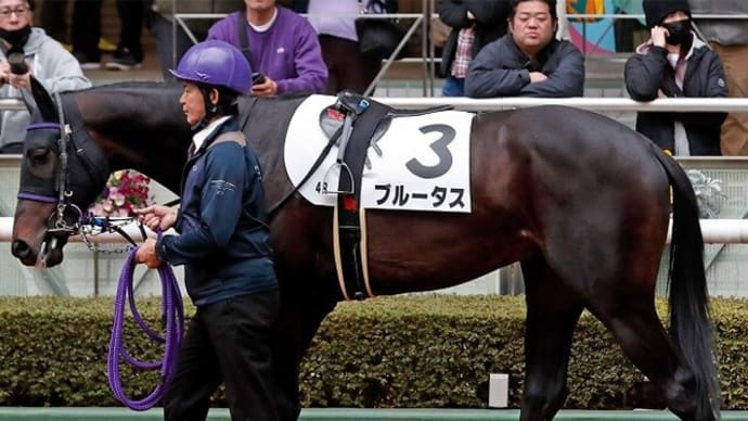 【ブルータス】右トモの股関節まわりの疲れでいったん放牧に