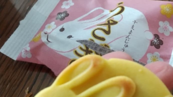 今朝のおまんじゅう